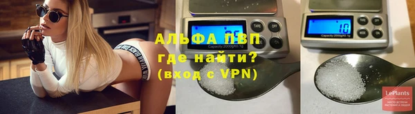 гашик Надым