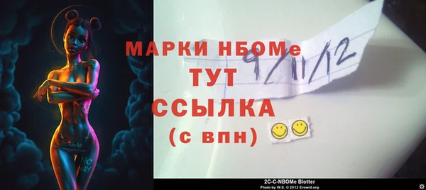 гашик Надым
